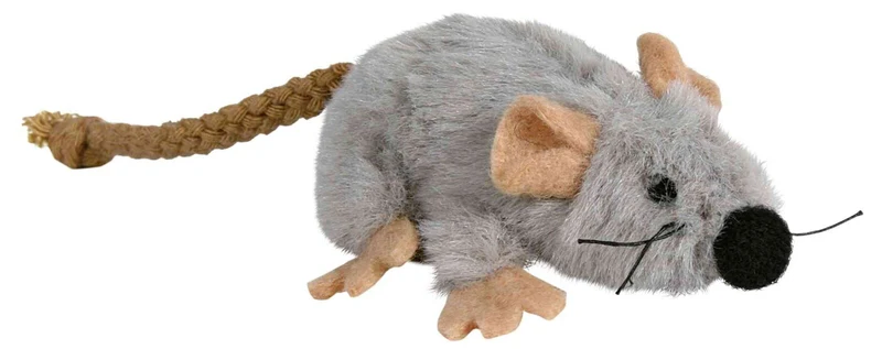 Maus