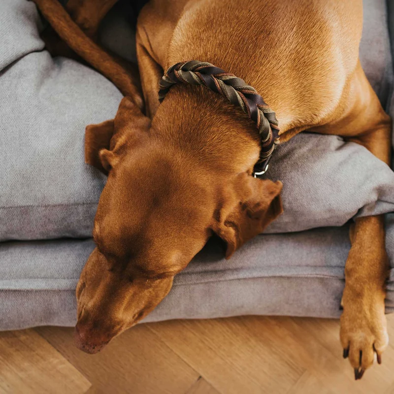 Hundesofa Eiby