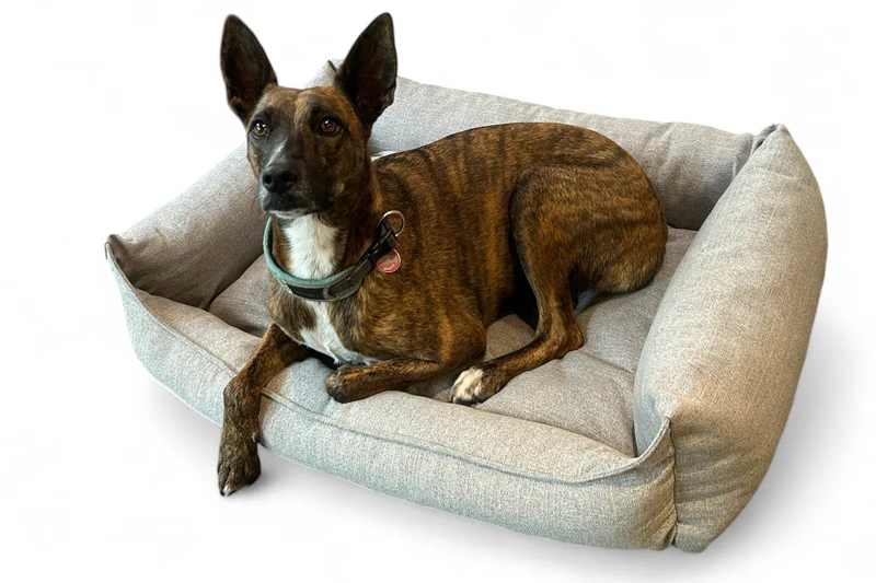 DoGood Hundebett – nachhaltig, waschbar & kuschelig weich
