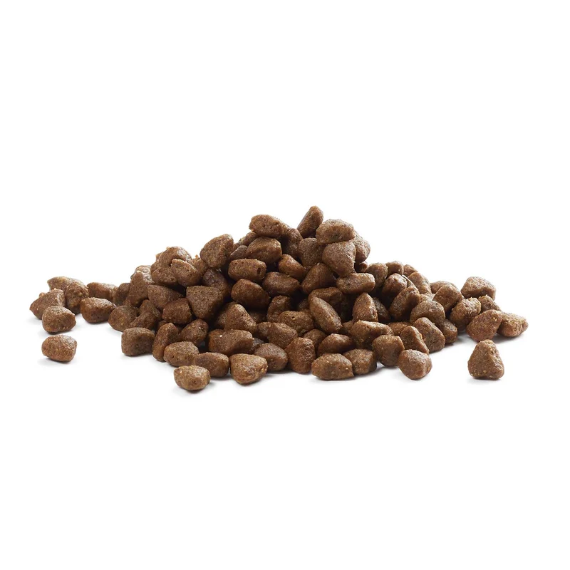 Hundefutter Boons Pute (für Welpen kleiner Rassen)