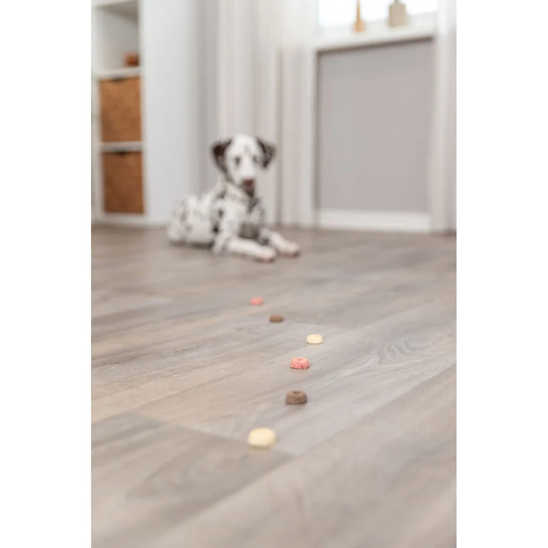 Cookie Snack Loops
