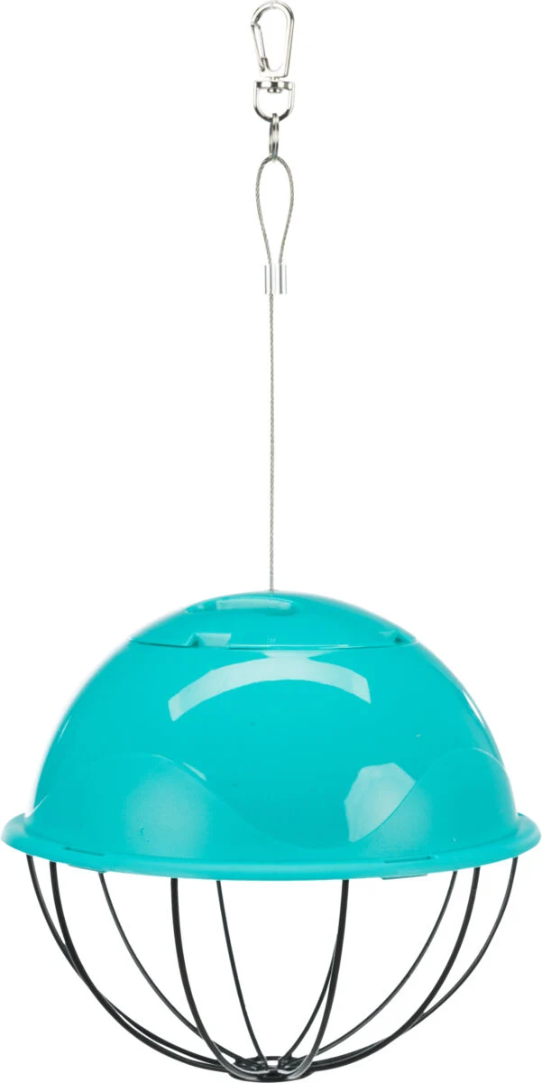 Food-Ball