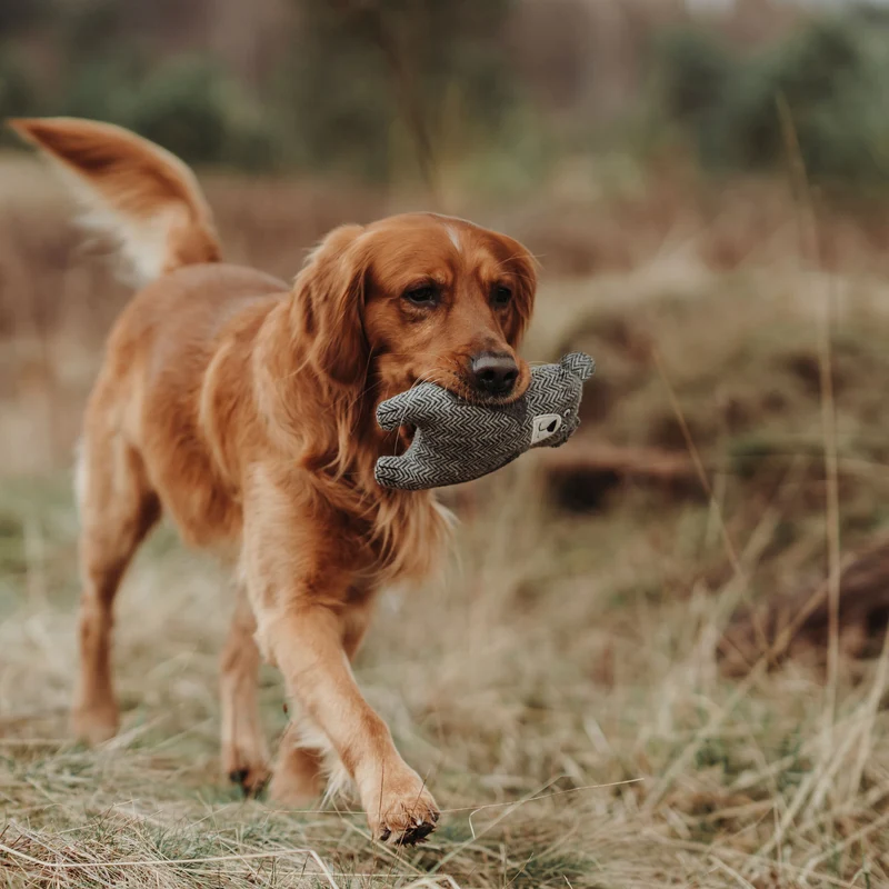 Hundespielzeug Billund