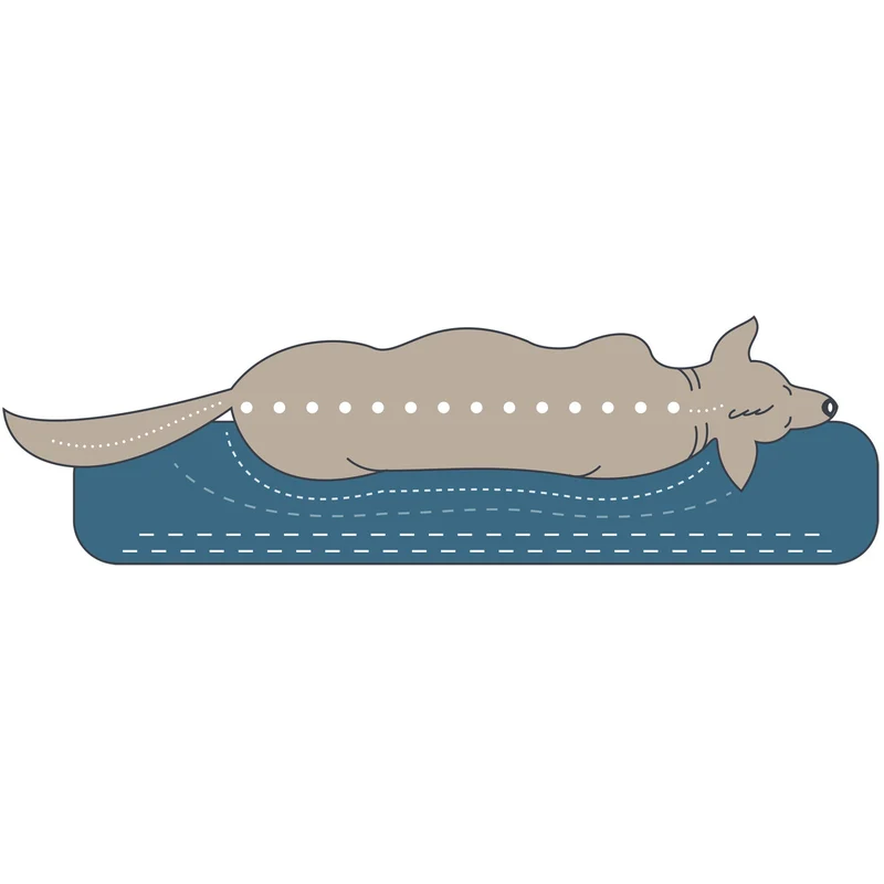 Orthopädisches/Ergonomisches Hundesofa Merida