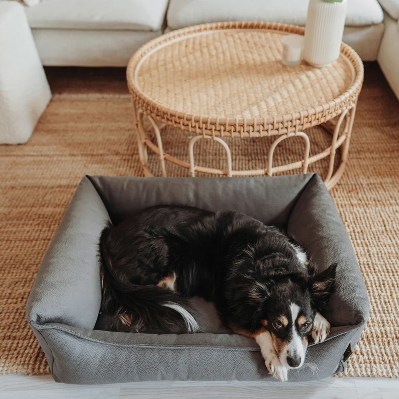 Orthopädisches/Ergonomisches Hundesofa Merida