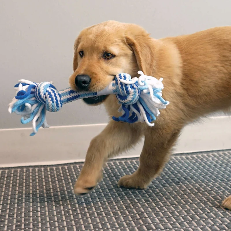 KONG Rope Stick Puppy – Seilspielzeug für Welpen | zahnschonend & strapazierfähig