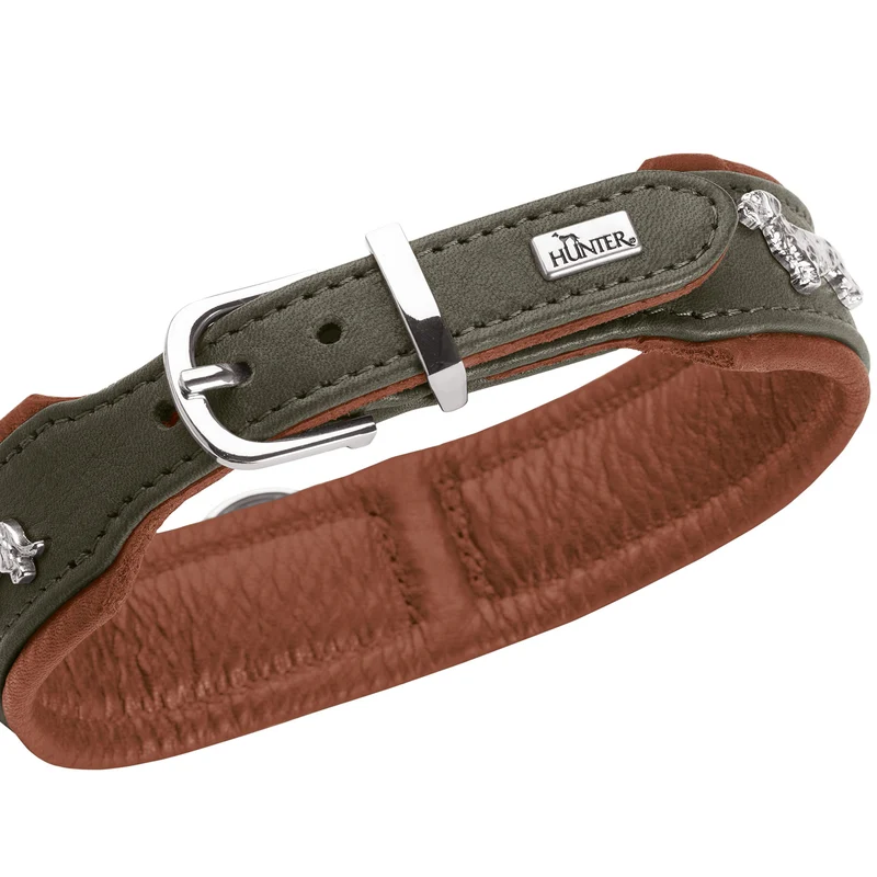 Teckel-Halsband München