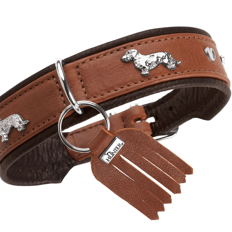 Teckel-Halsband München