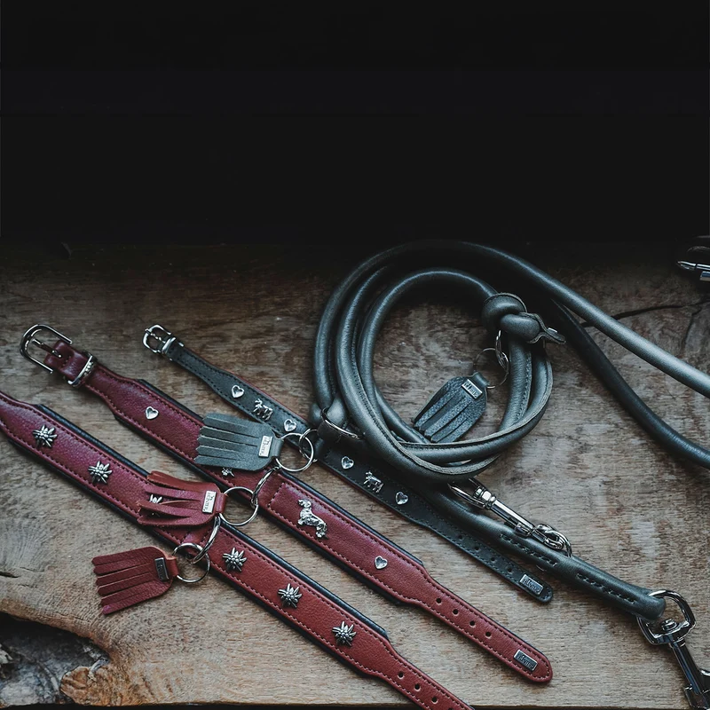 Teckel-Halsband München
