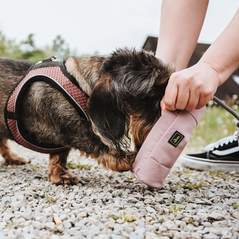 Trainer Snack Dummy mit Seil