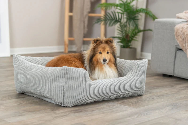 Orthopädisches Cord-Bett für Hunde und Katzen mit Rand und Memory-Foam