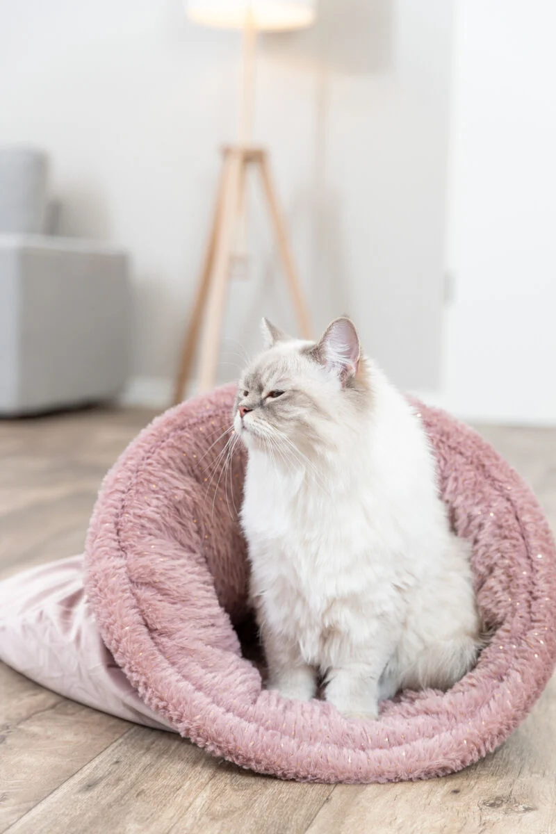 Kuschelsack Livia Soft