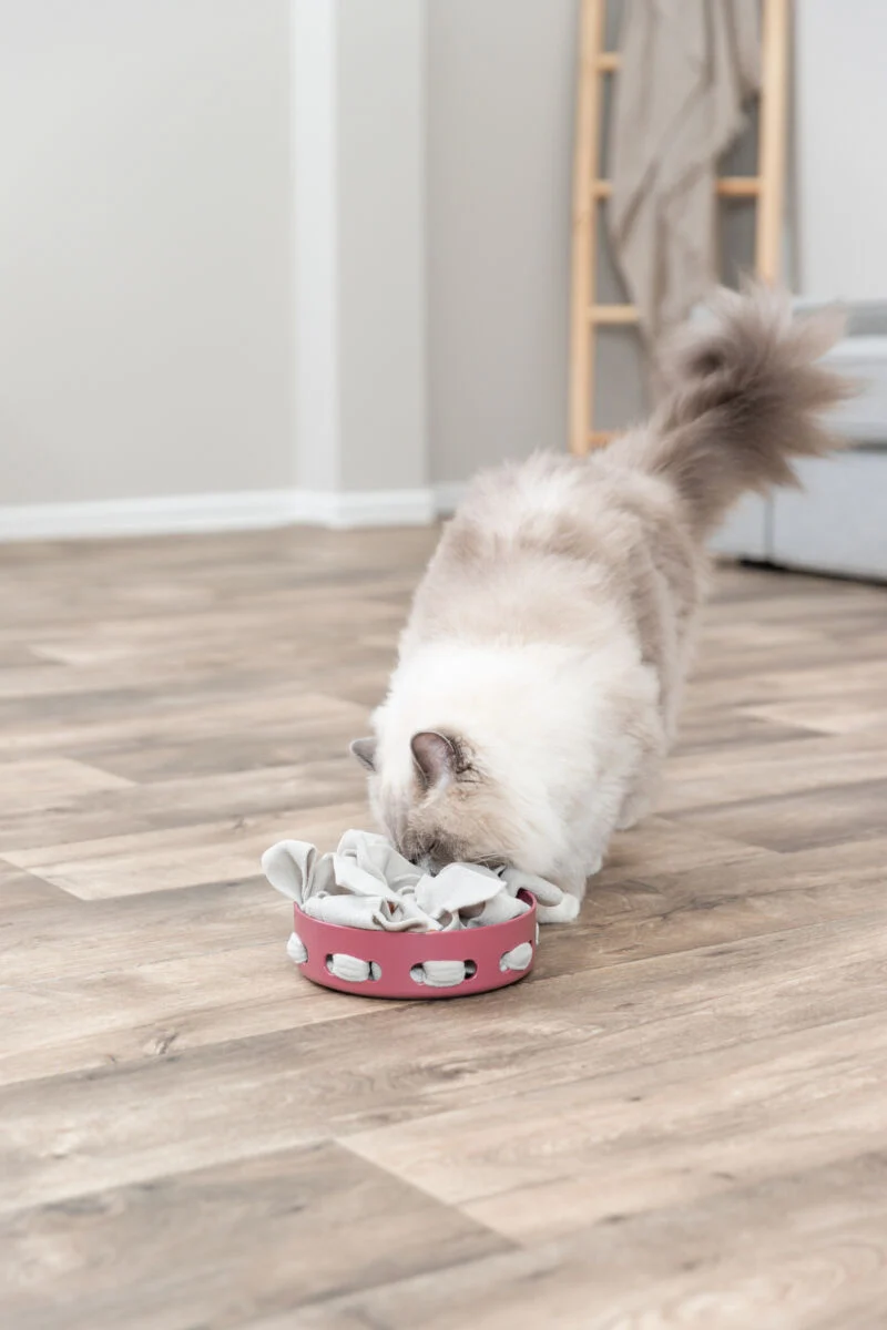 Strategiespiel Hide'n'Sniff Bowl zum Schnüffeln für Katzen