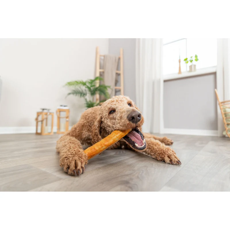 Denta Fun Roll aus Kollagen, 20 cm