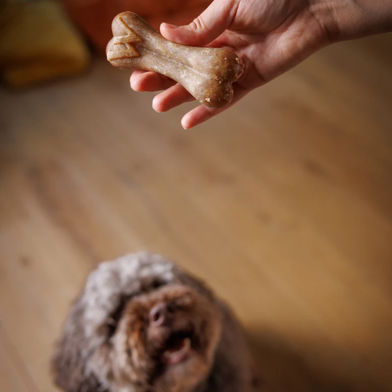 WHIMZEES® Reisknochen Zahnpflege Hundesnack Größe: M/L