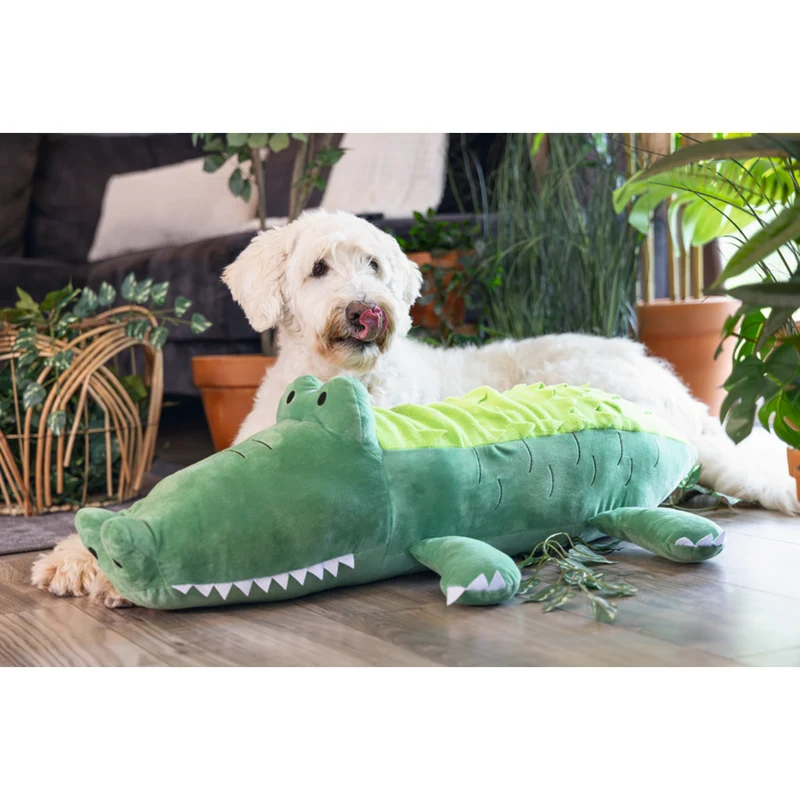 Plüsch Hundespielzeug Dschungel Hide n Seek Krokodil