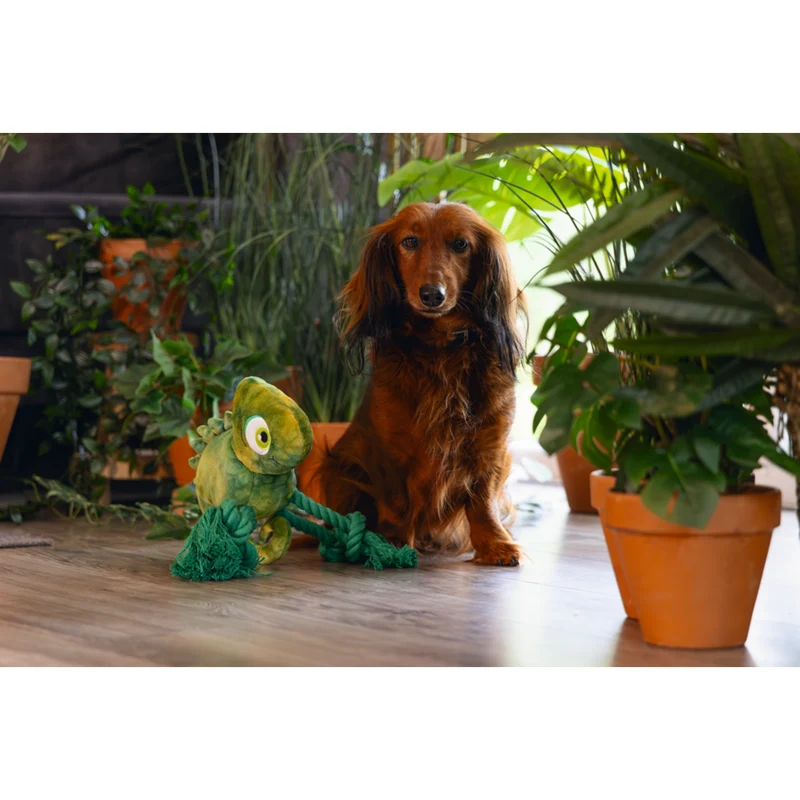 Plüsch-Seilspielzeug Dschungel Kodi für Hunde