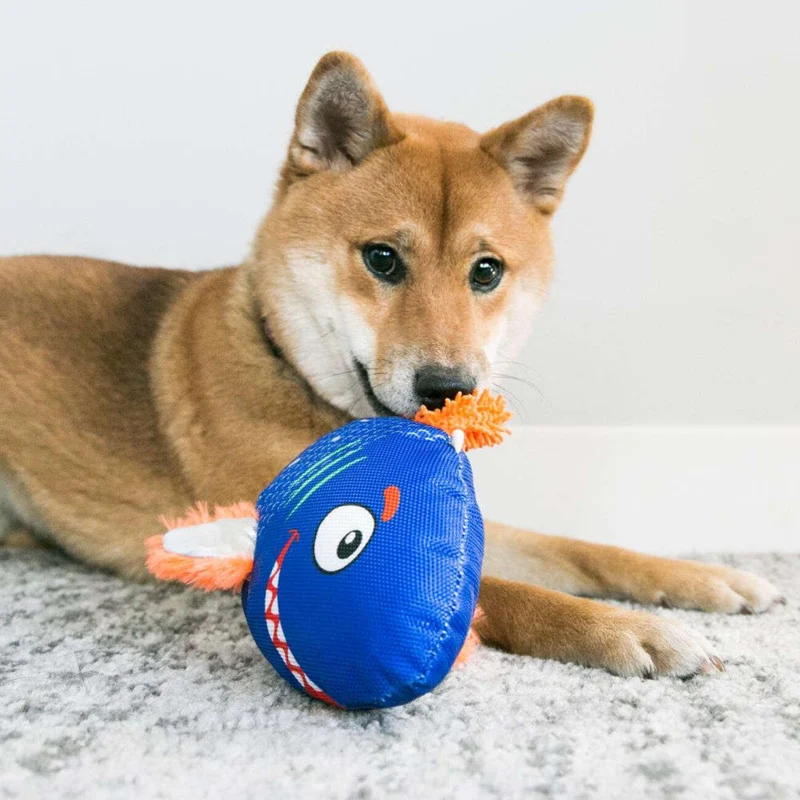 KONG Reefz – Plüsch-Hundespielzeug im Meeres-Design mit Quietscher | S & L