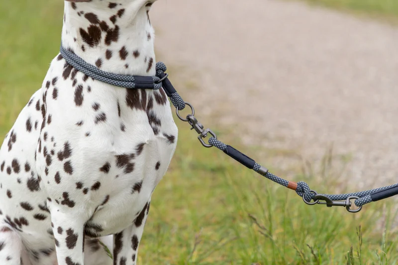 Soft Rope Zug-Stopp-Halsband