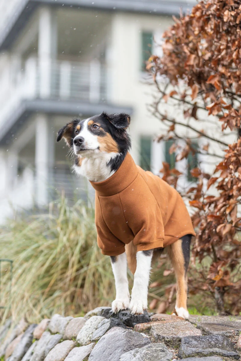 Sweatshirt CityStyle Amsterdam