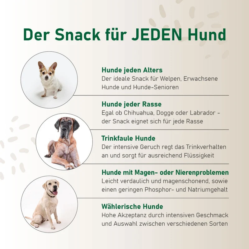 Probierpaket "Mix" - für jeden Hund!