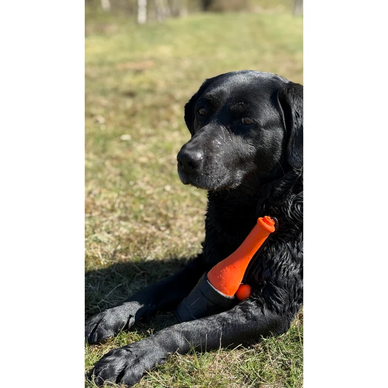 Dog Comets Bobber Schwimmspielzeug – Robustes Outdoor Hundespielzeug für Wasser & Land