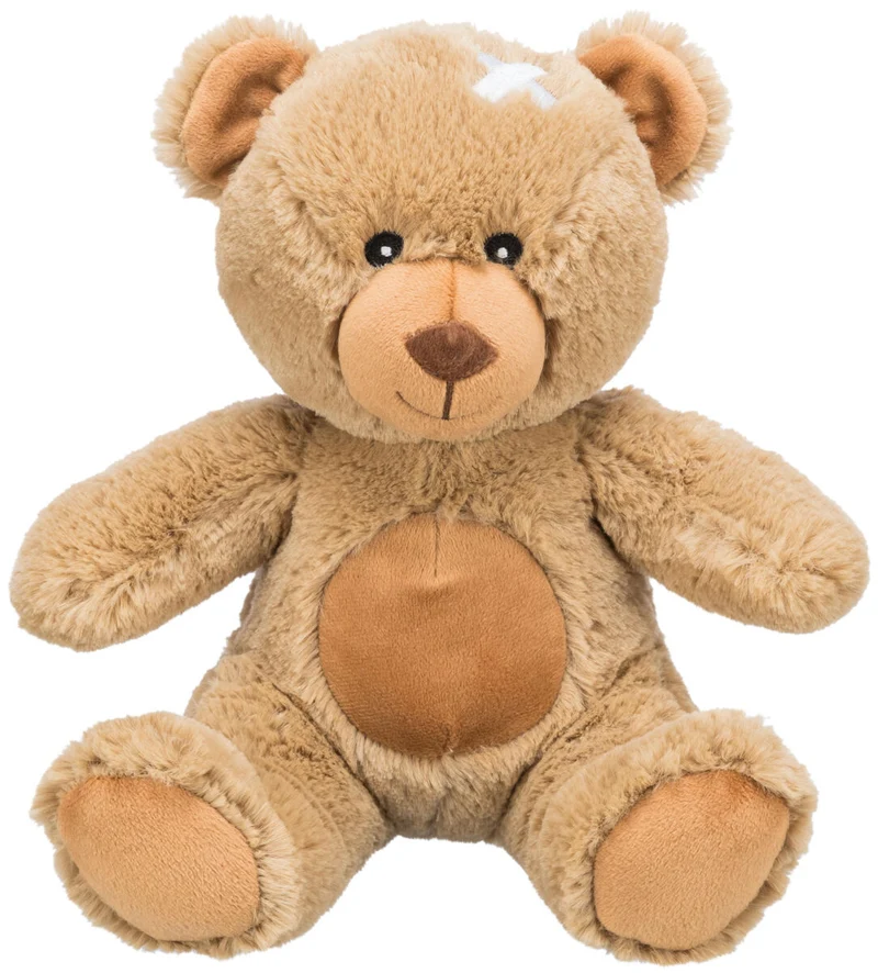 Hundespielzeug Teddy Plüsch, quietscht