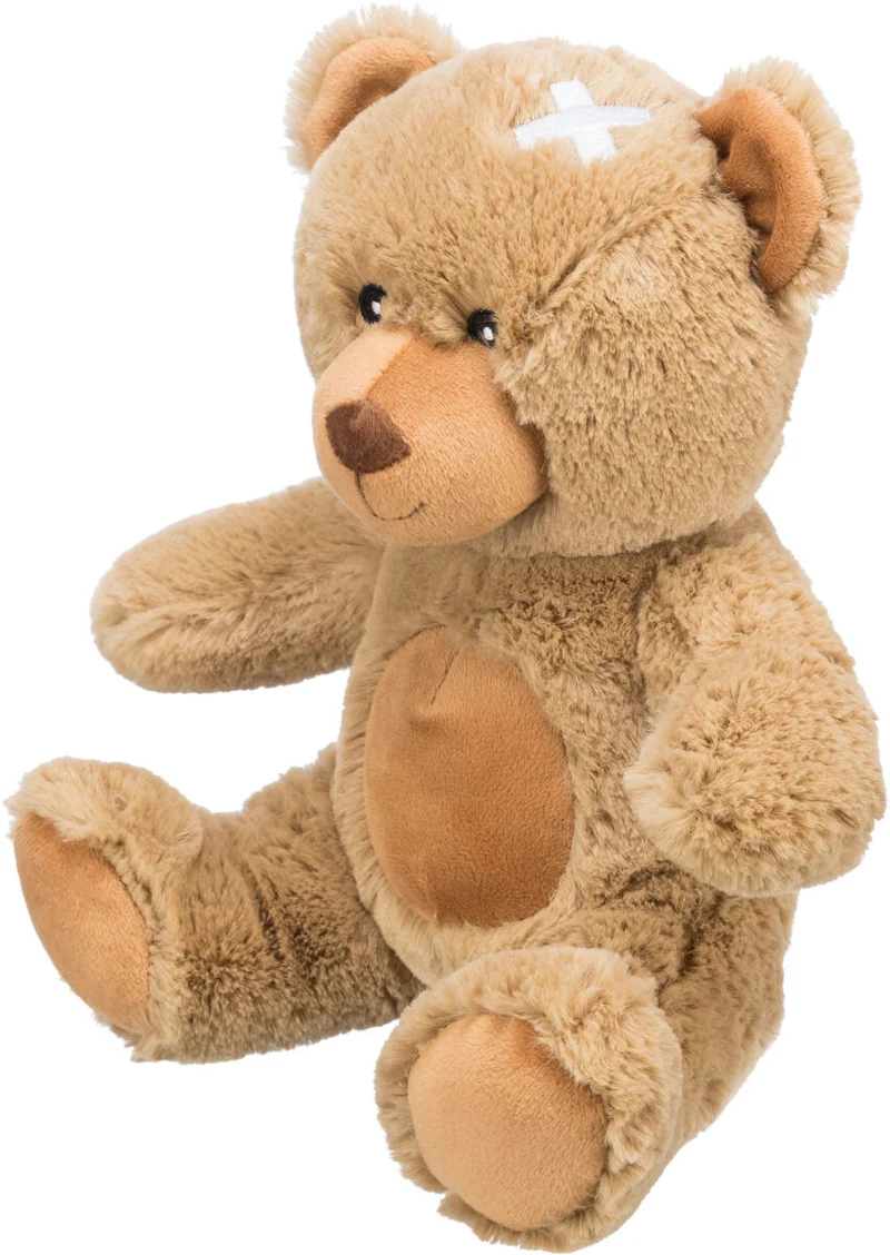 Hundespielzeug Teddy Plüsch, quietscht