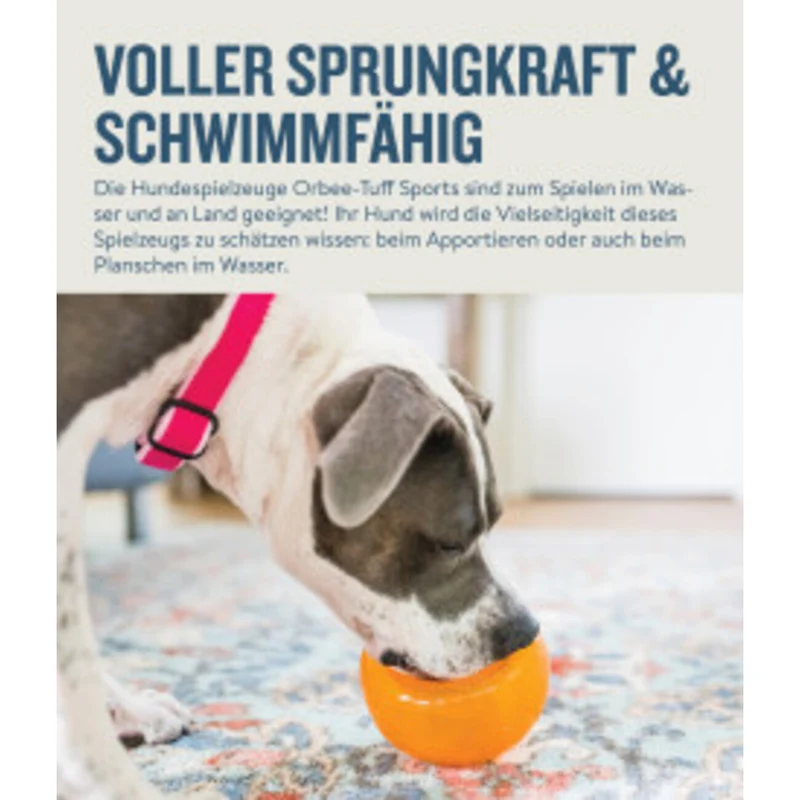 Orbee-Tuff Snoop Ø ca. 12,5 cm Interaktives Snackspielzeug