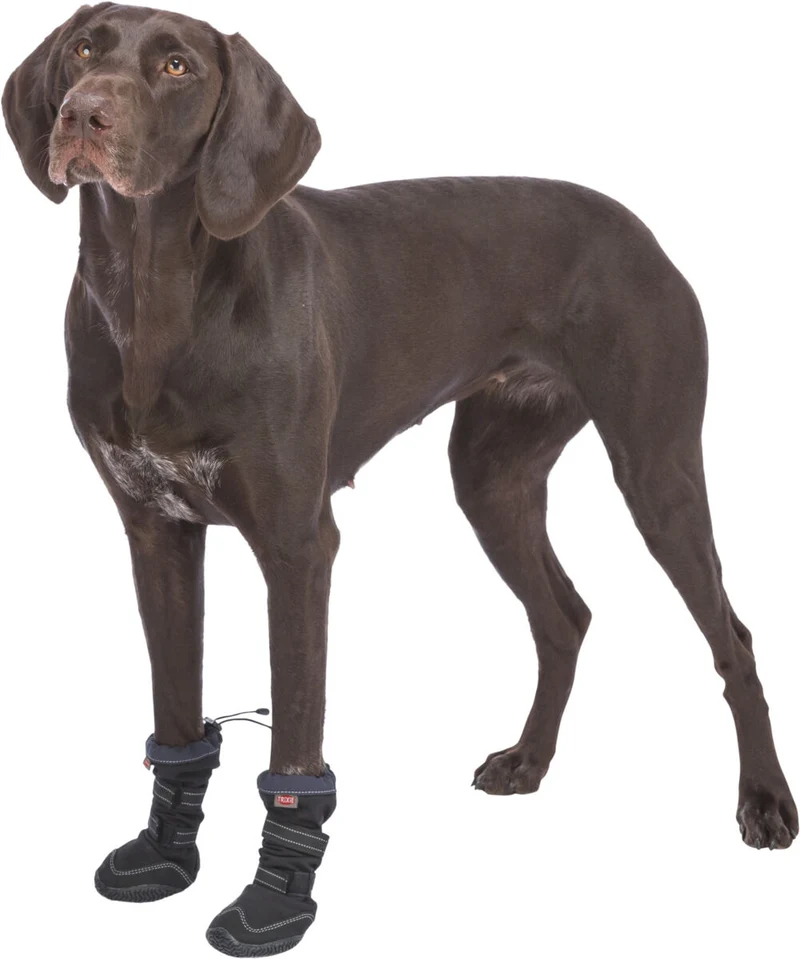Pfotenschutz Walker Active Long