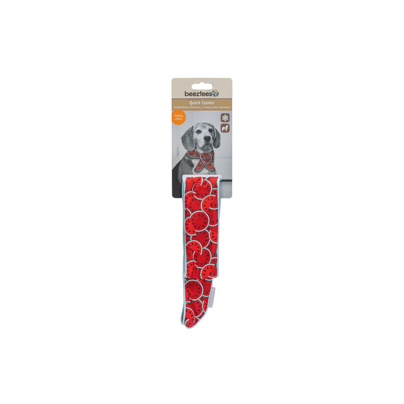 Kühlbandana Kühlhalsband Quick Cooler MELOENIE für Hunde