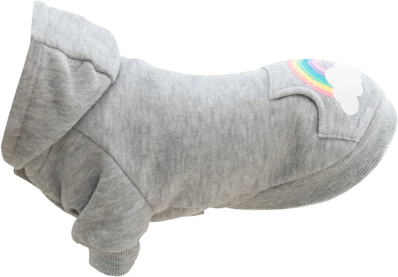 Hoodie Rainbow Falls