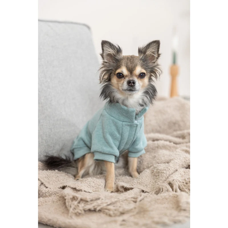 Hunde Sweatshirt Littleton