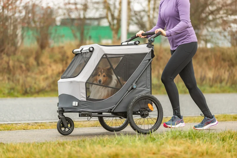 Fahrradanhänger für Hunde, schnell zusammenklappbar