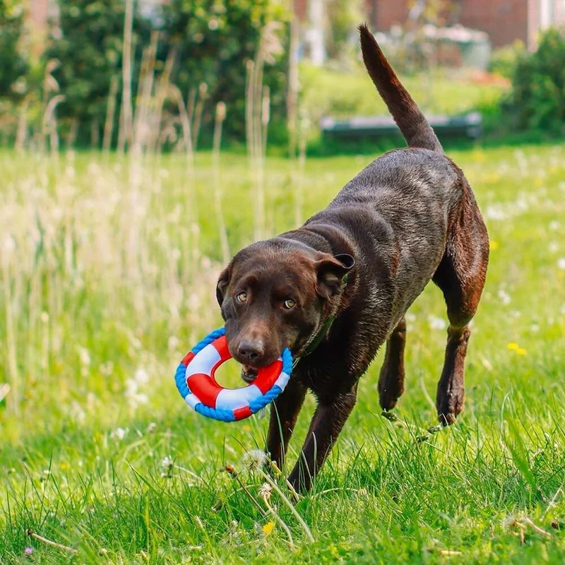 Hundespielzeug Rettungsring mit Seil Floating
