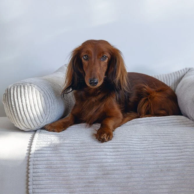 Couchkissen Ribbed