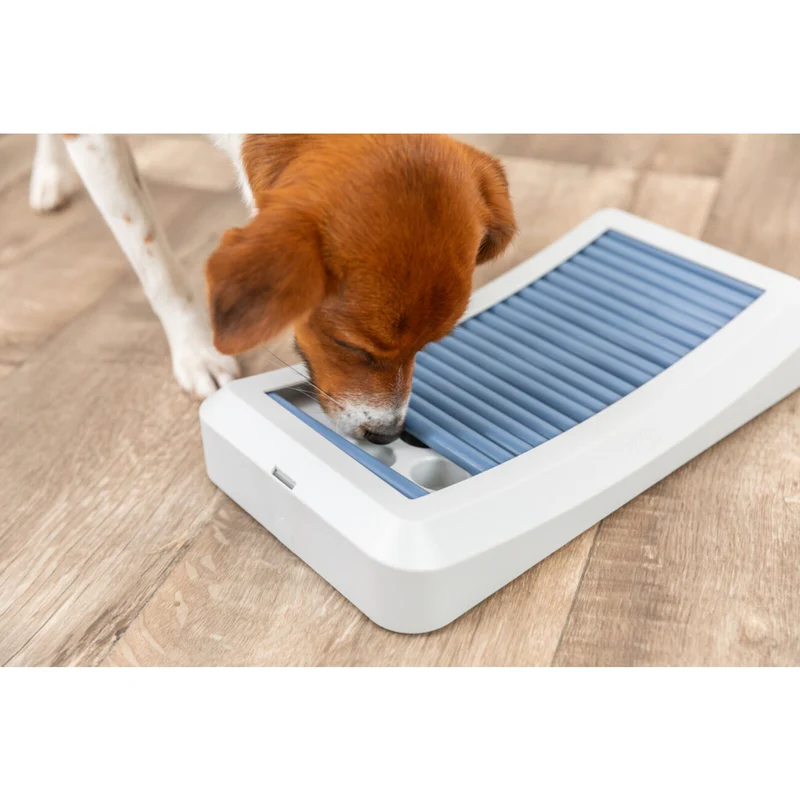 Dog Activity Stäbchenspiel Rod Board aus Kunststoff für Hunde