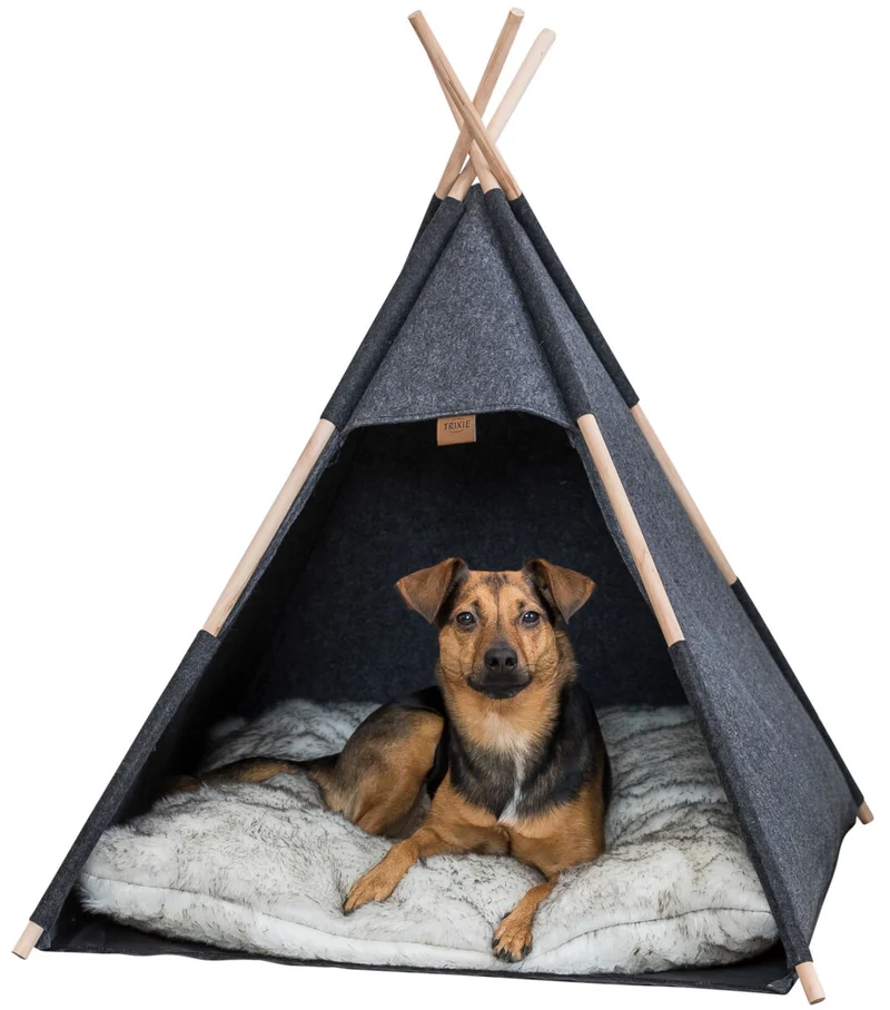 Höhle Tipi