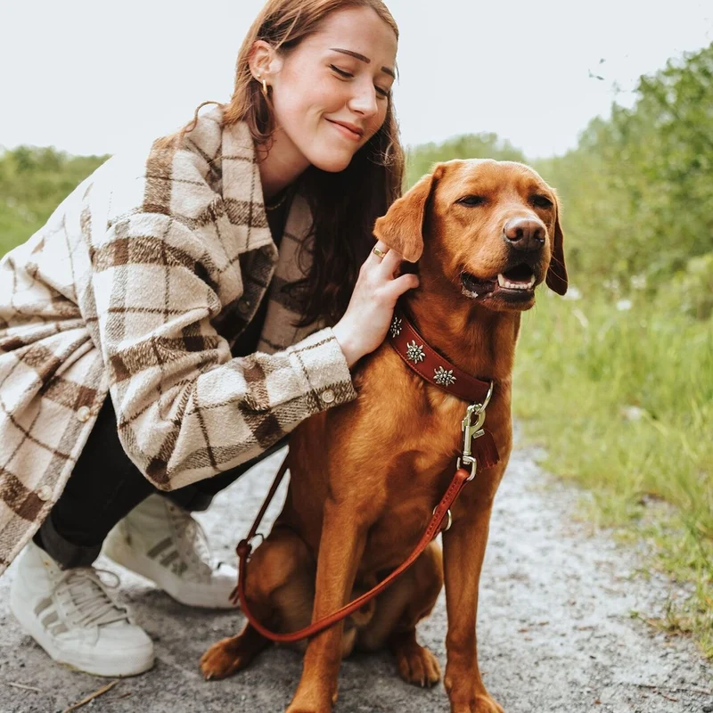 Halsband München für Hunde