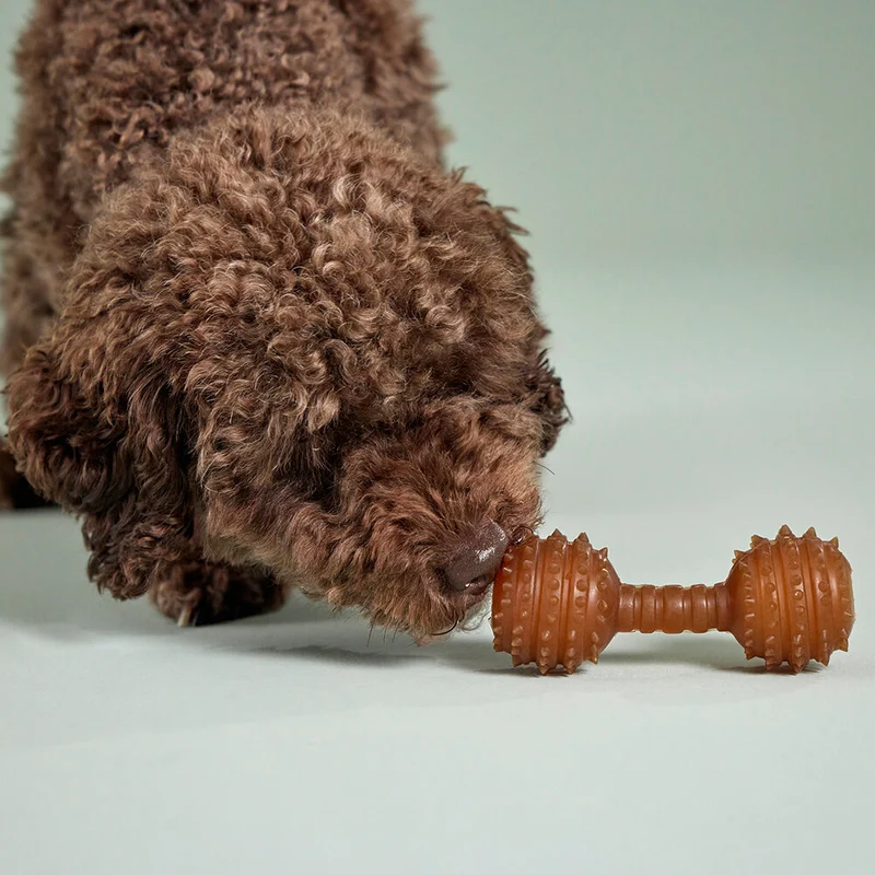 Wolters Pure Nature Dental Hantel aus Naturkautschuk für Hunde