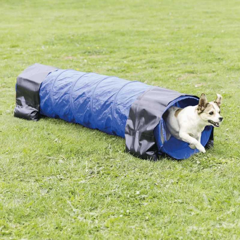 Fun Agility Mini Tunnel