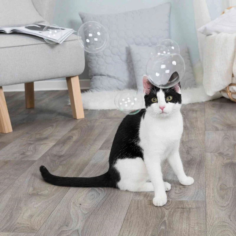 Catnip Seifenblasen