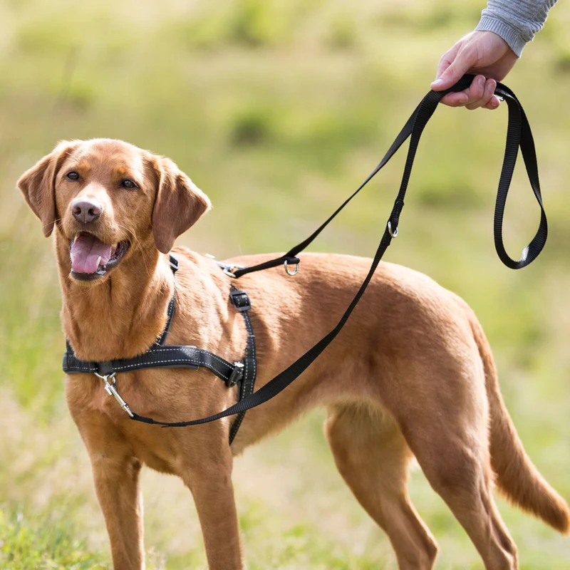 Trainingsgeschirr Lead'n'Walk Soft