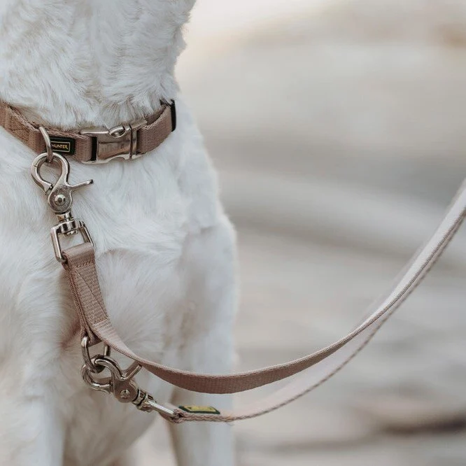 Verstellbare Führleine Inari für Hunde
