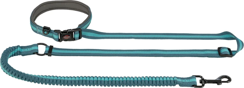 Joggingleine