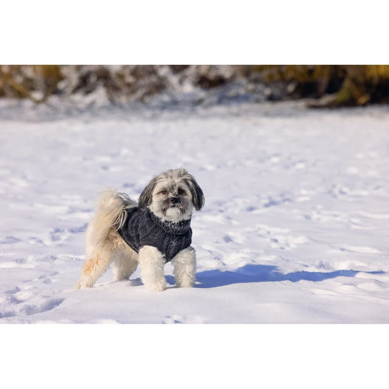 Designed by Lotte Hundepullover Haida – Strickmuster mit Rollkragen