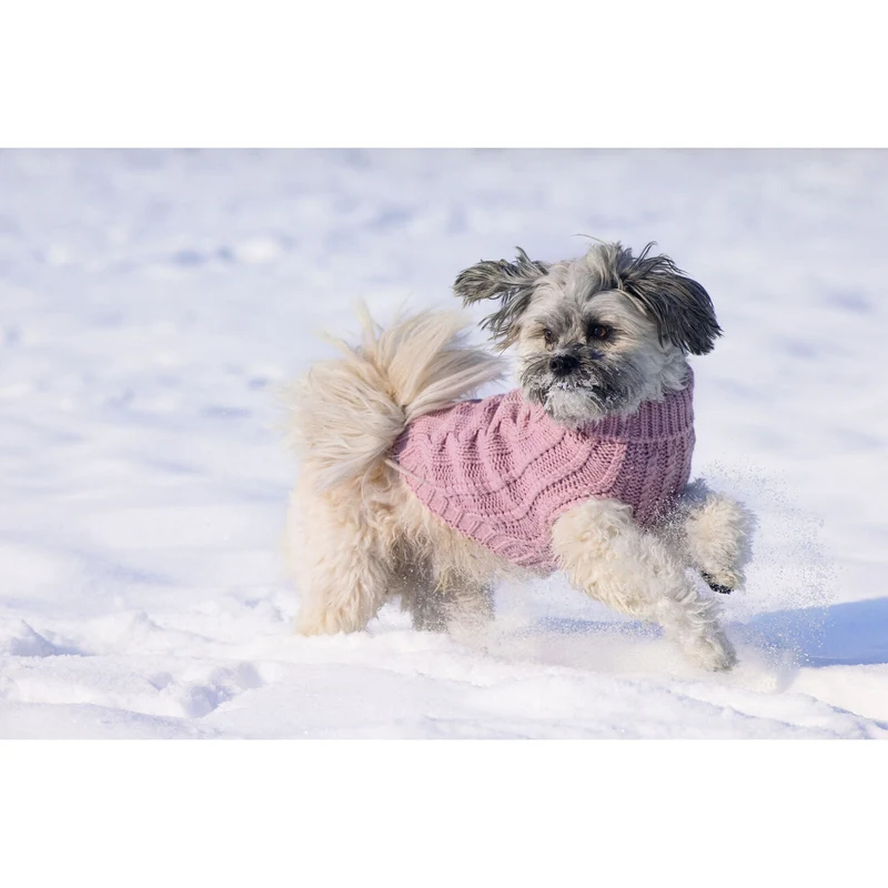 Designed by Lotte Hundepullover Haida – Strickmuster mit Rollkragen