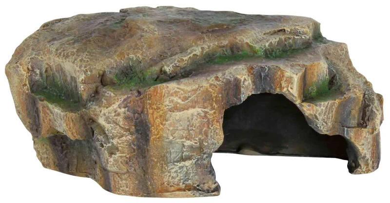 Reptilienhöhle