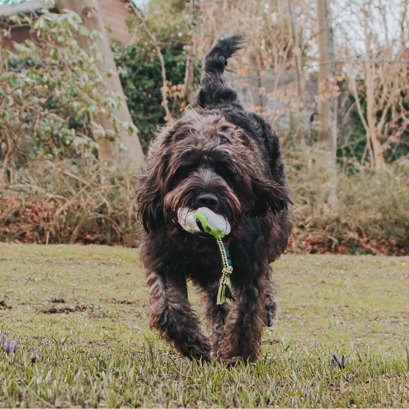 Snuggles Hundespielzeug