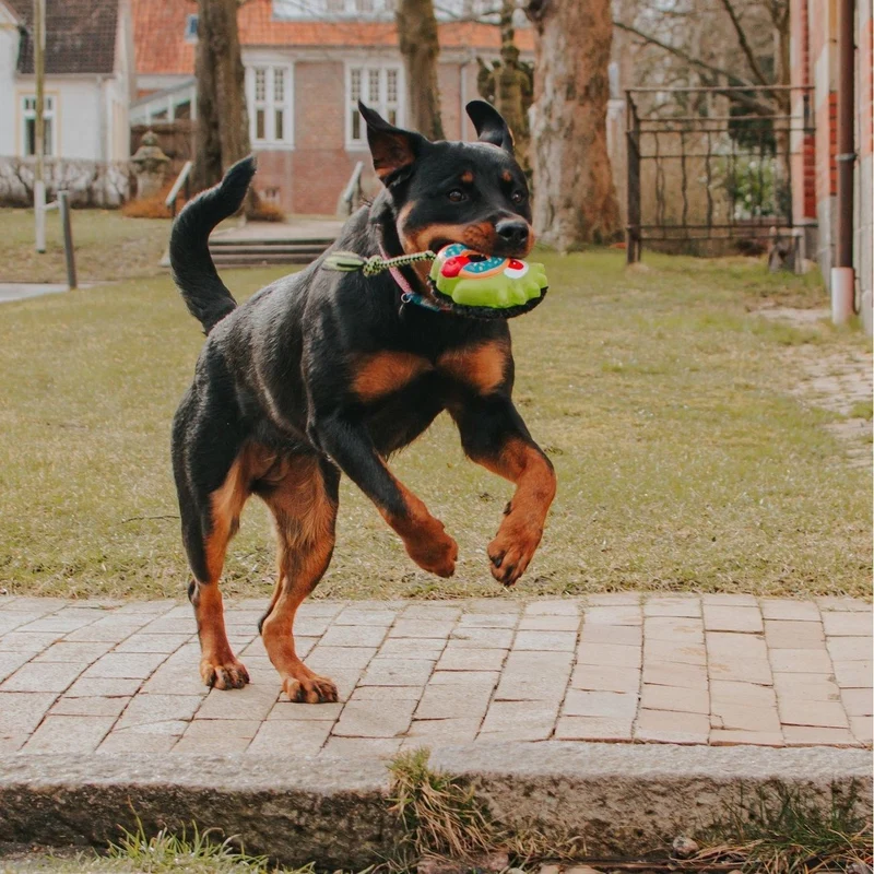 Snuggles Hundespielzeug
